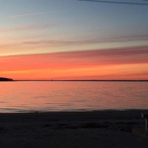 Meet your Posher, Augie